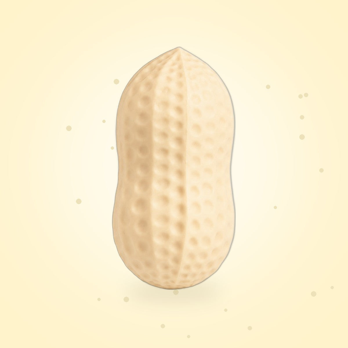 Peanut Squishy