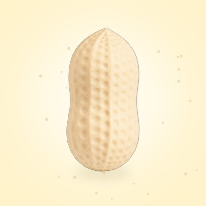 Peanut Squishy